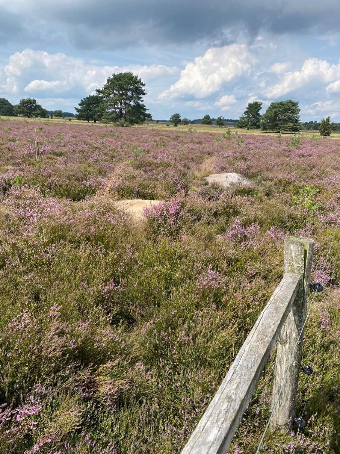Holiday In Der Lueneburger Heide Bispingen Eksteriør bilde